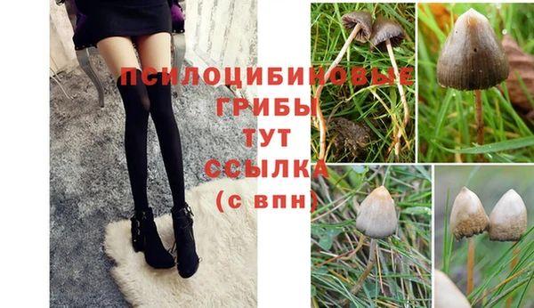 хмурый Армянск