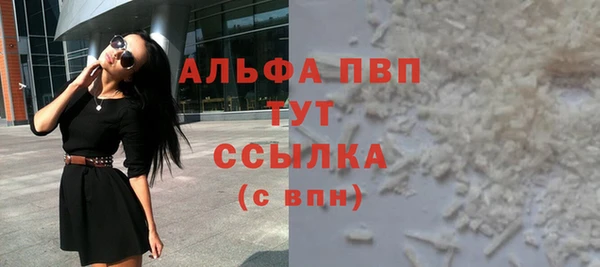 PSILOCYBIN Чегем