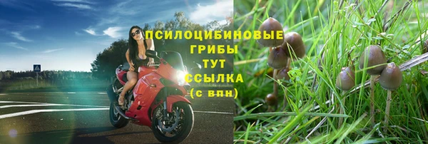 таблы Аркадак
